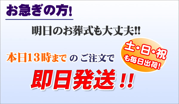 12時までのご注文で即日発送！